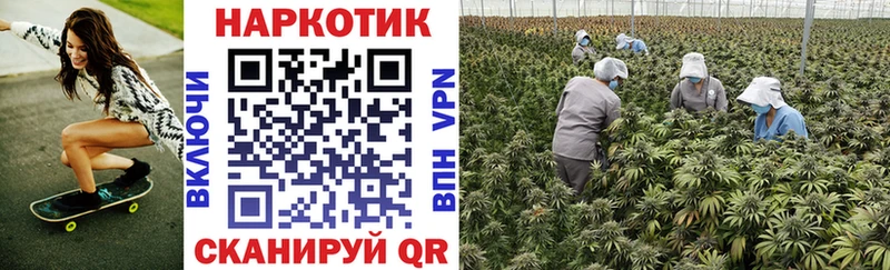 Наркота Шали A-PVP Меф Гашиш Кокаин