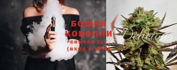 сатива Белокуриха