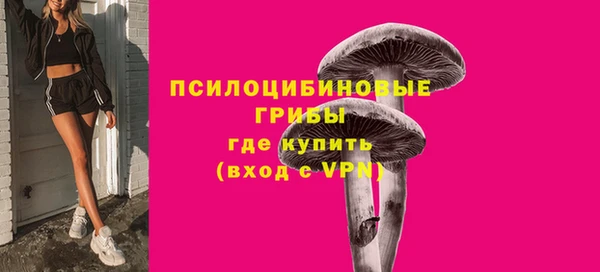 дживик Белоозёрский