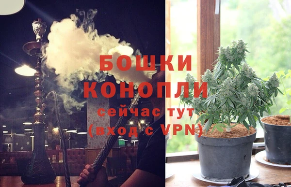 дживик Белоозёрский