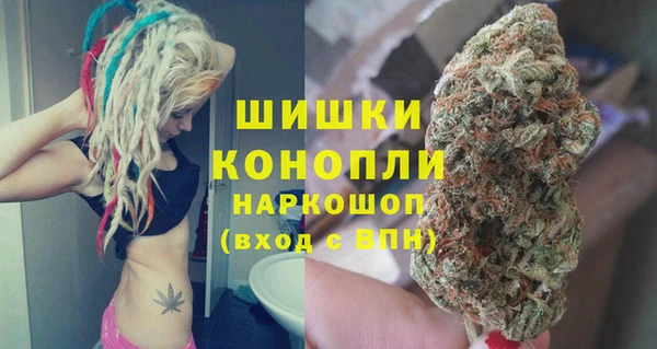 сатива Белокуриха