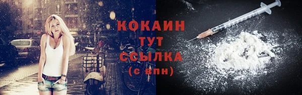 прущий лед Богородицк