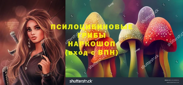 сатива Белокуриха
