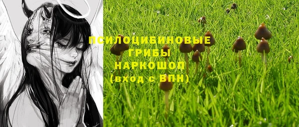 прущий лед Богородицк
